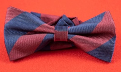 Bow Tie