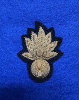 Officer Cap Badge